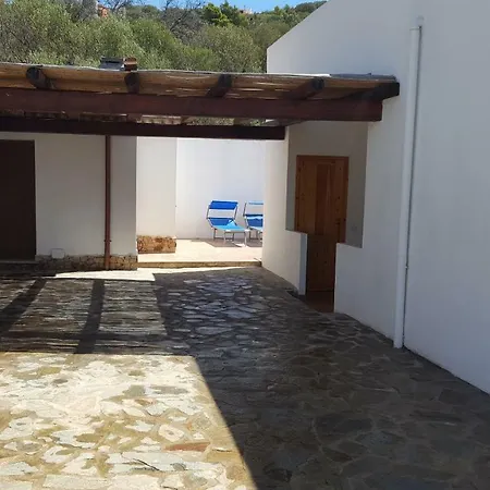 Rosi Vila
